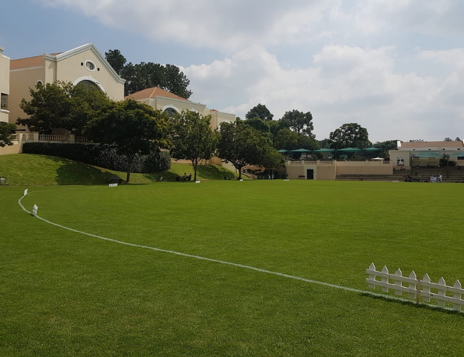 Outdoor garden maintenance and landscaping