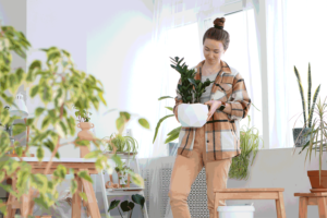 Do Indoor Plants Need Drainage?