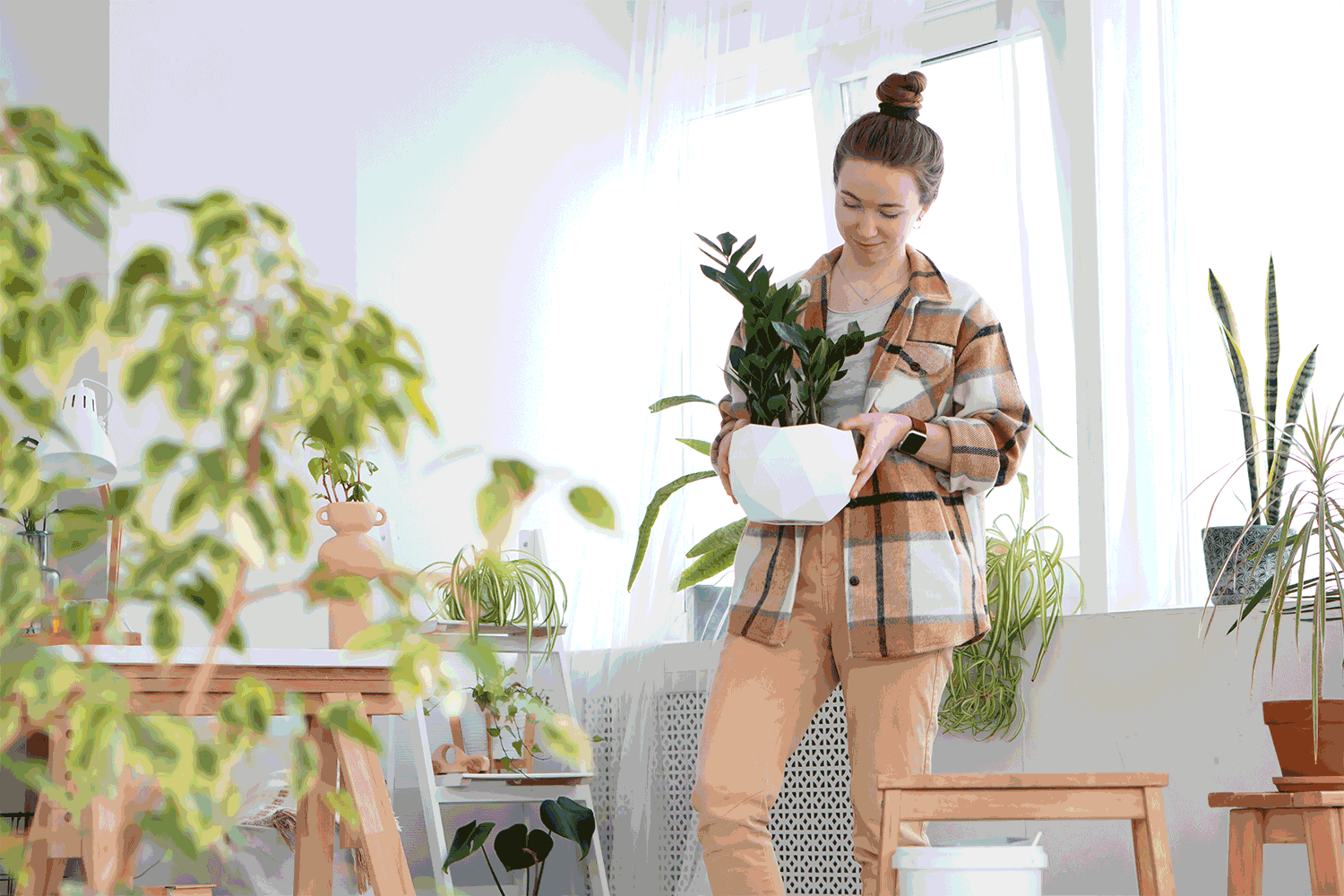 Do Indoor Plants Need Drainage?